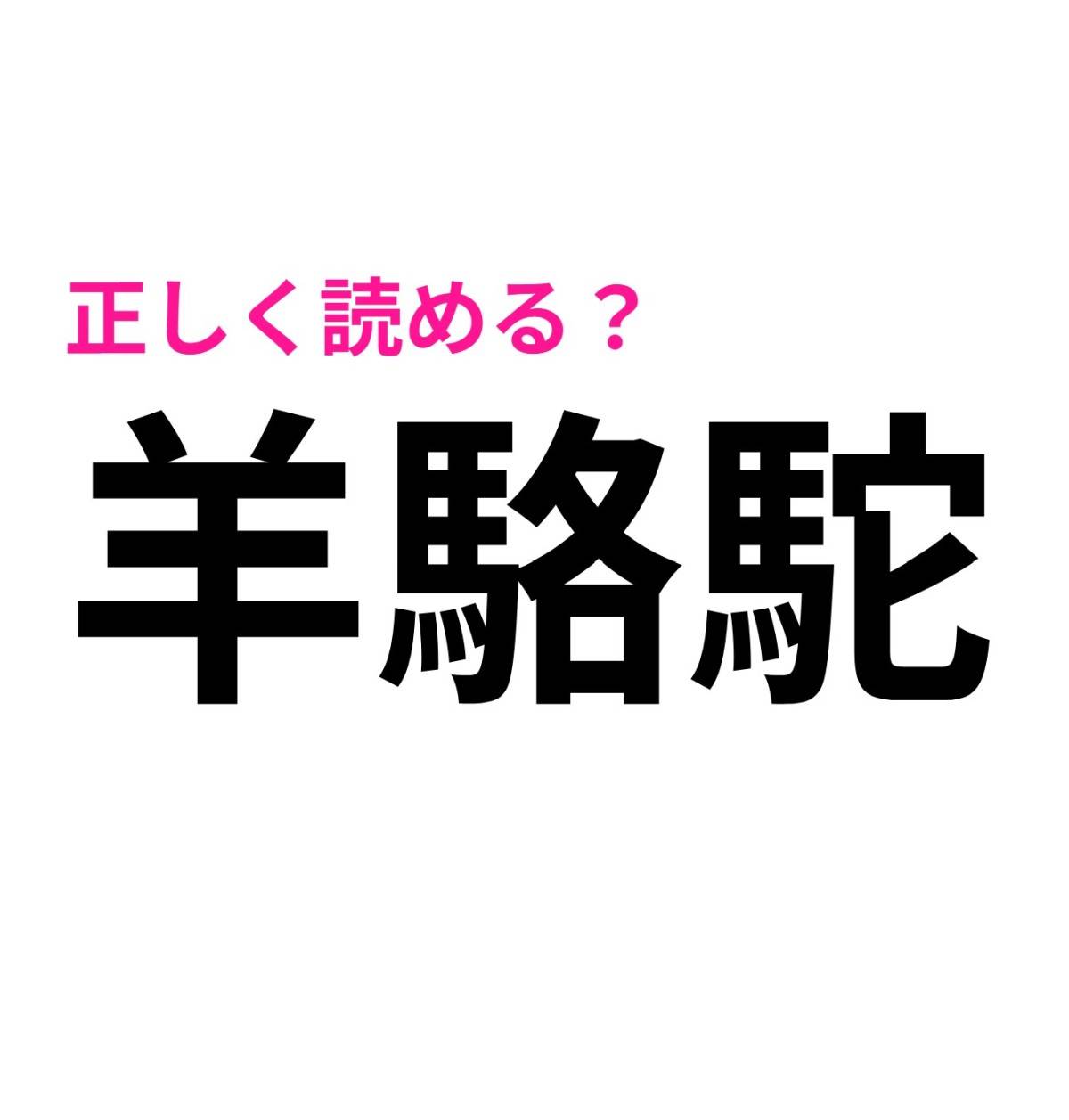 羊駱駝