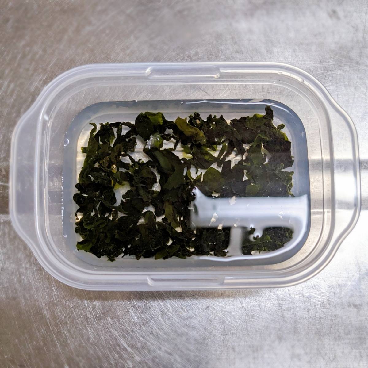 JAグループ公式の「キュウリとワカメの生姜風味酢の物」のレシピ