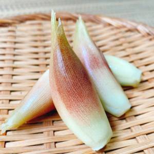 最近ずっとコレばっかり。ほぼ5分でできる「みょうが」の超簡単レシピ