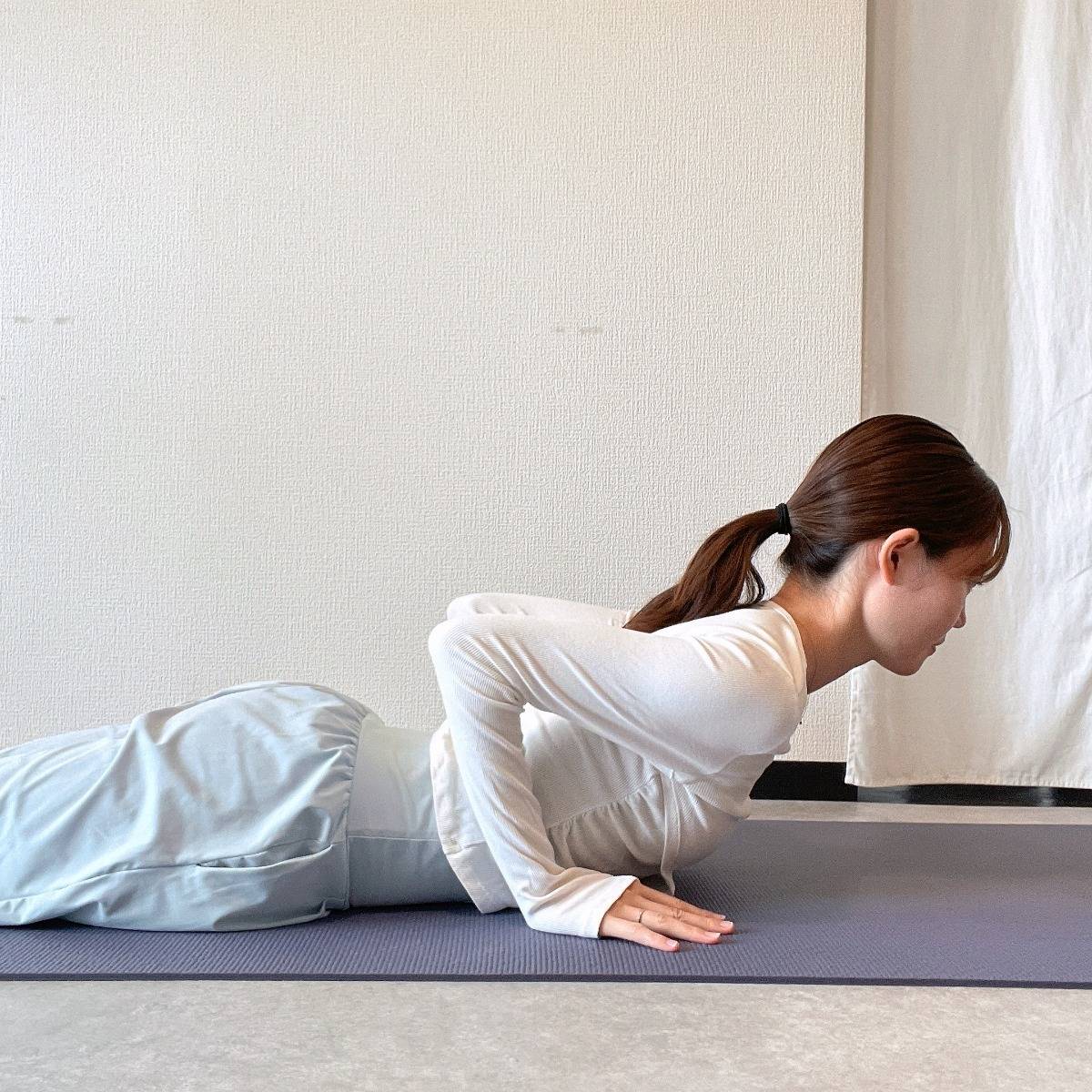 体の部位
