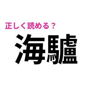  海驢 