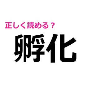  孵化 
