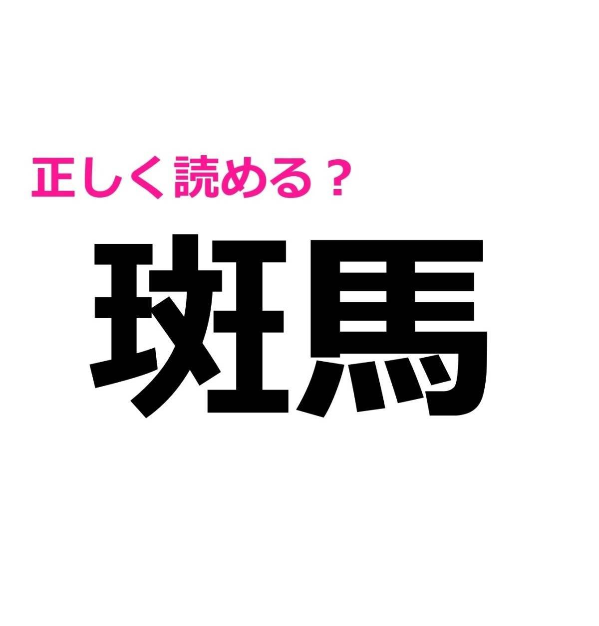 斑馬