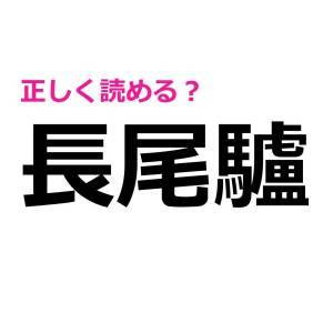  長尾驢 
