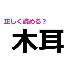  木耳 