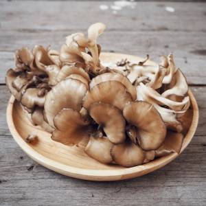  舞茸 