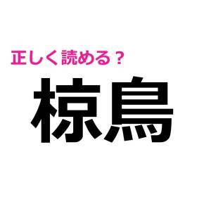  椋鳥 