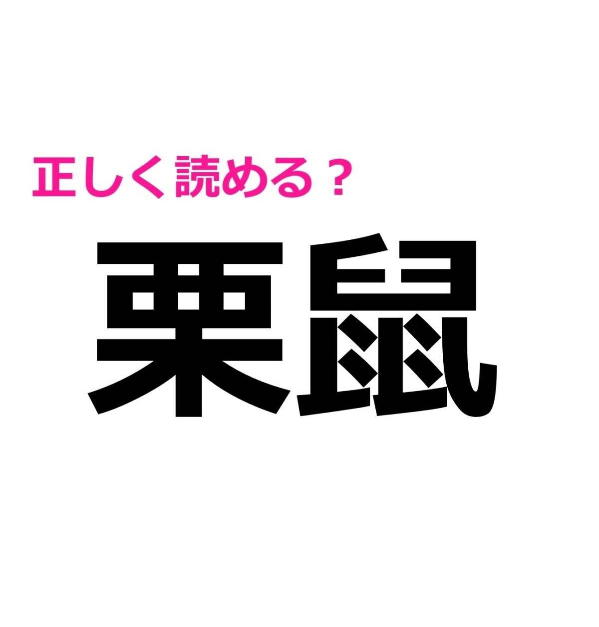 栗鼠