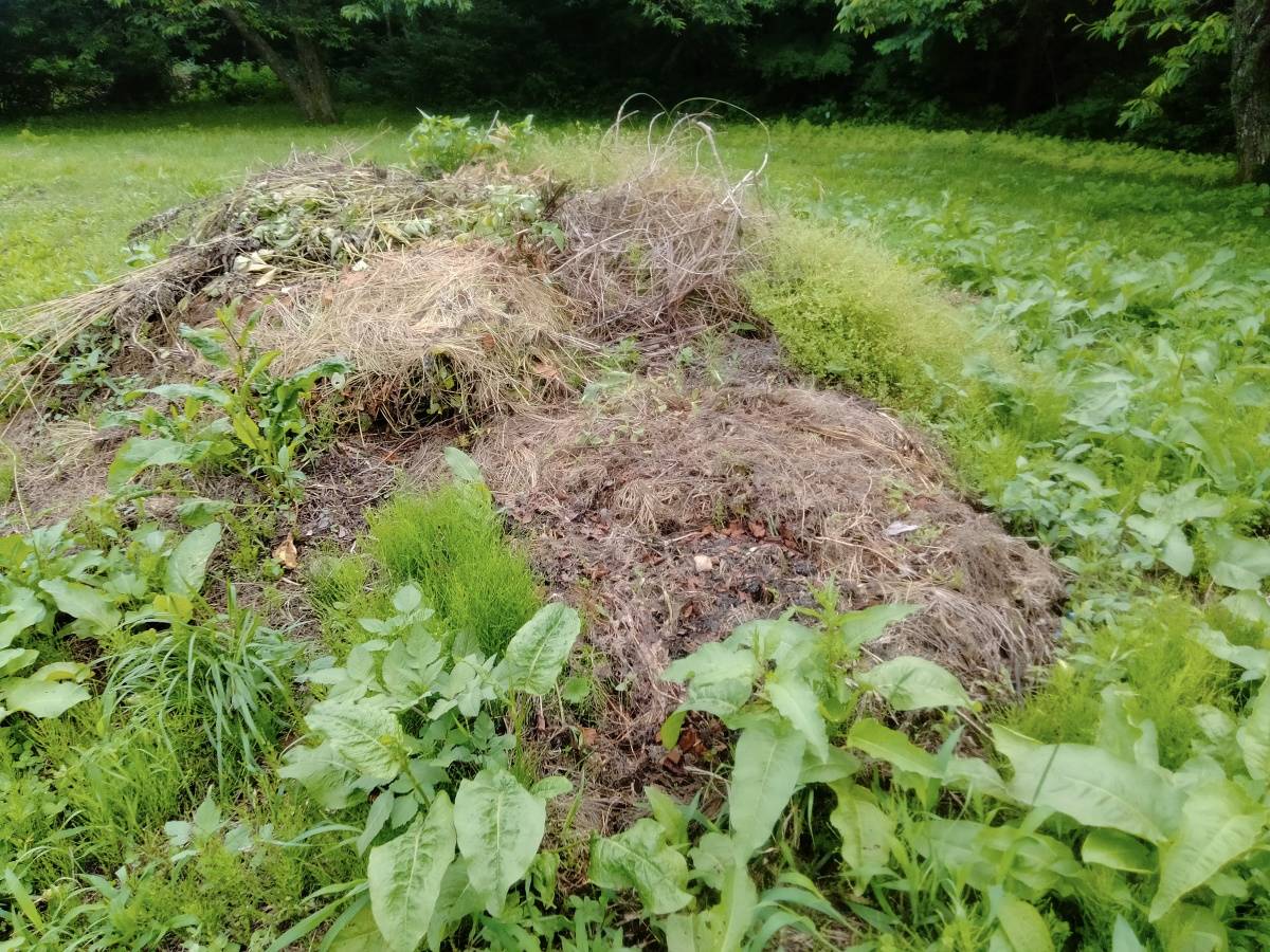 庭で刈った草や落ち葉を積み上げた堆肥の山