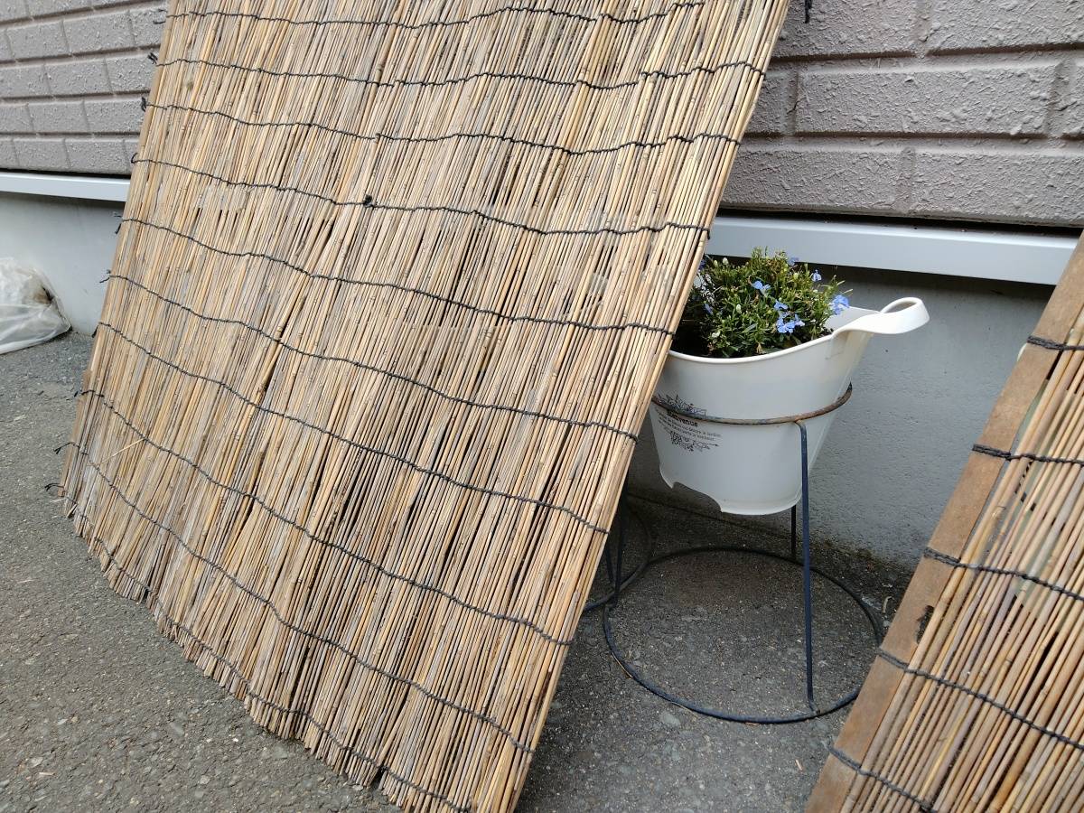 よしずの陰に移動させた鉢植え