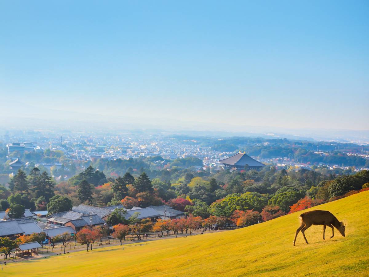 奈良県の景色
