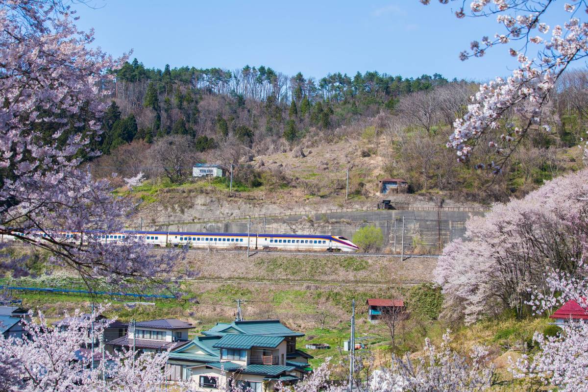 山形県の烏帽子山公園