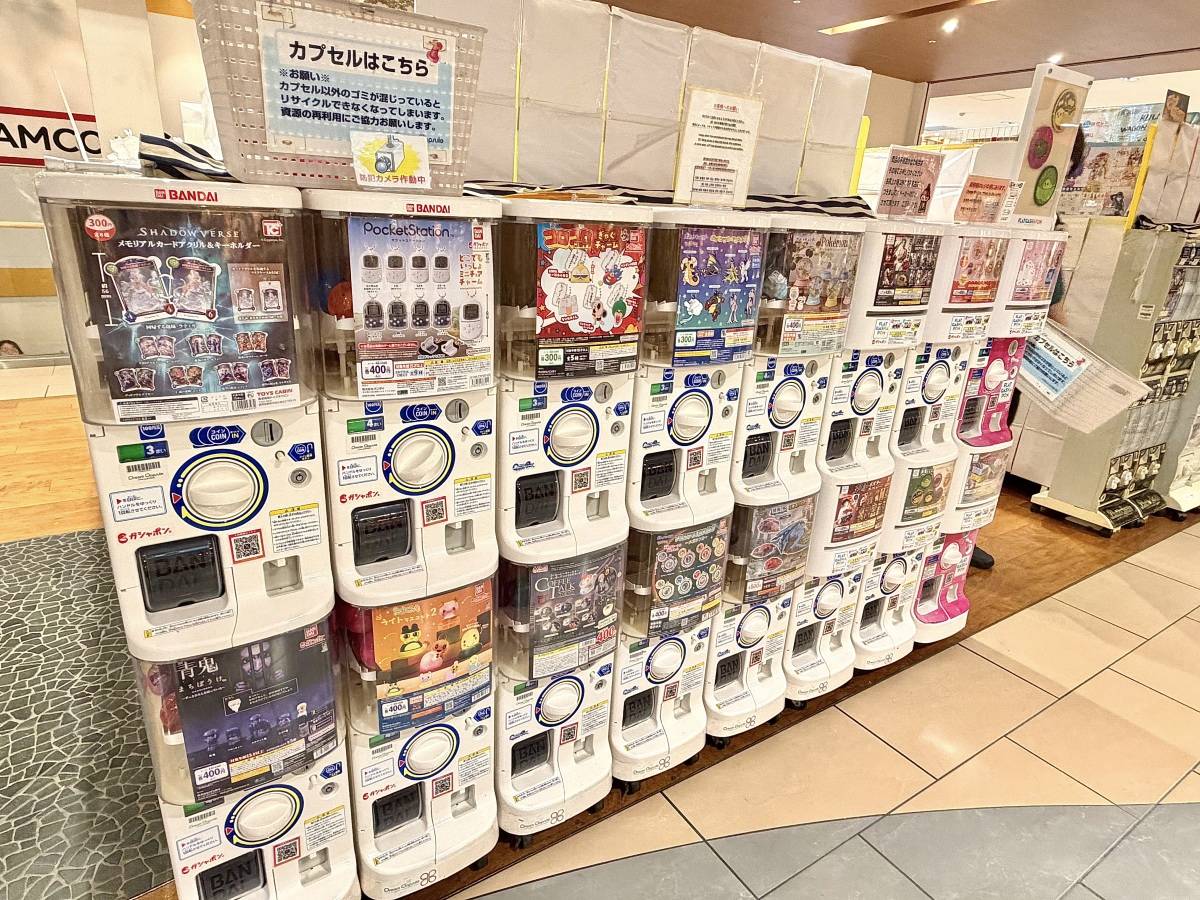 写真①
