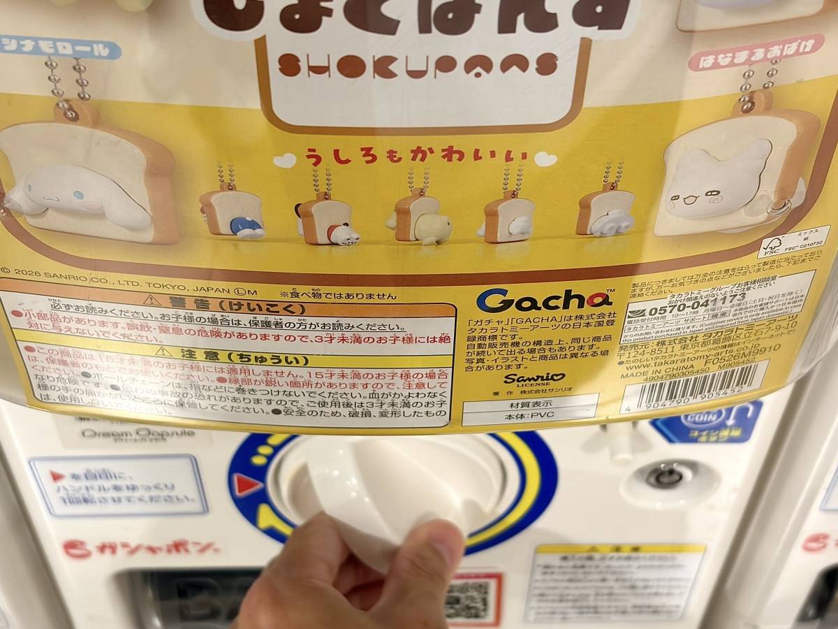 写真③