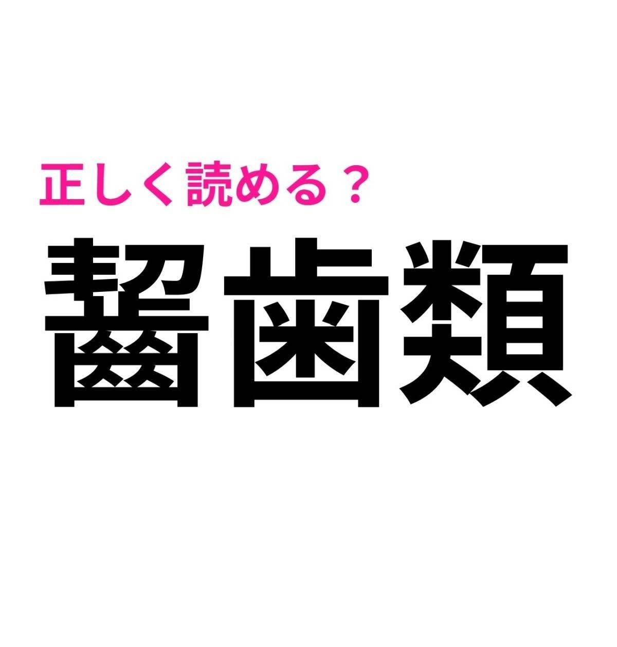 齧歯類