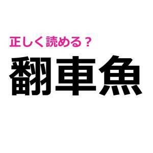  翻車魚 