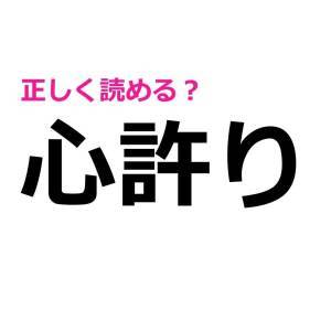  心許り 