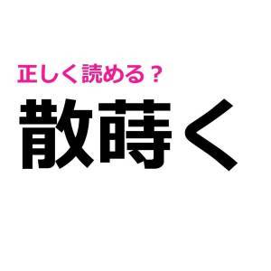  散蒔く 