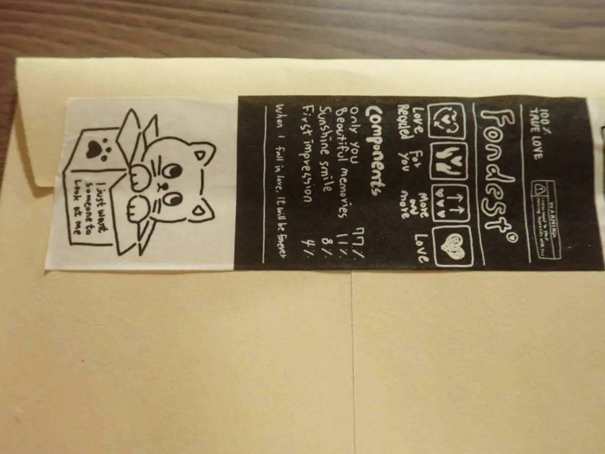 DAISO(ダイソー):マスキングテープ(韓国スタイルドローイング、2個、ネコ)