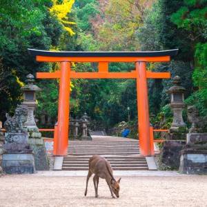 大大大吉日【8月6日(木)】が到来！ただし運を逃す原因となる行動も？
