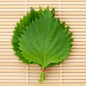 この発想はなかったわ……。5分あればできる「大葉」の超簡単レシピ