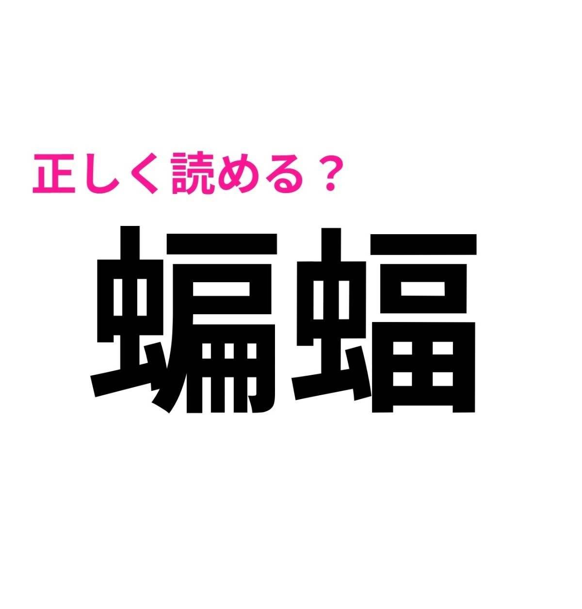 蝙蝠