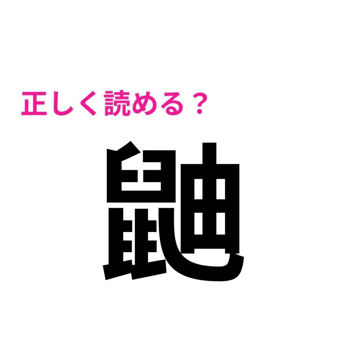 鼬