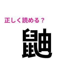  鼬 