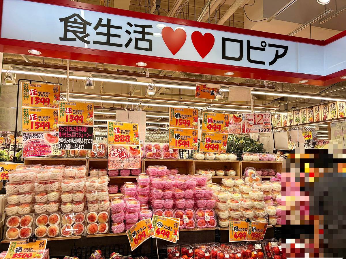写真①