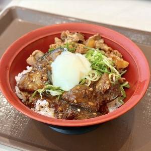  すき家の「おんたまシビ辛麻婆茄子牛丼」 