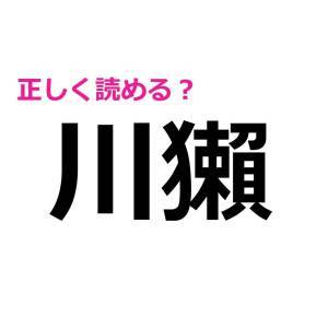  川獺 