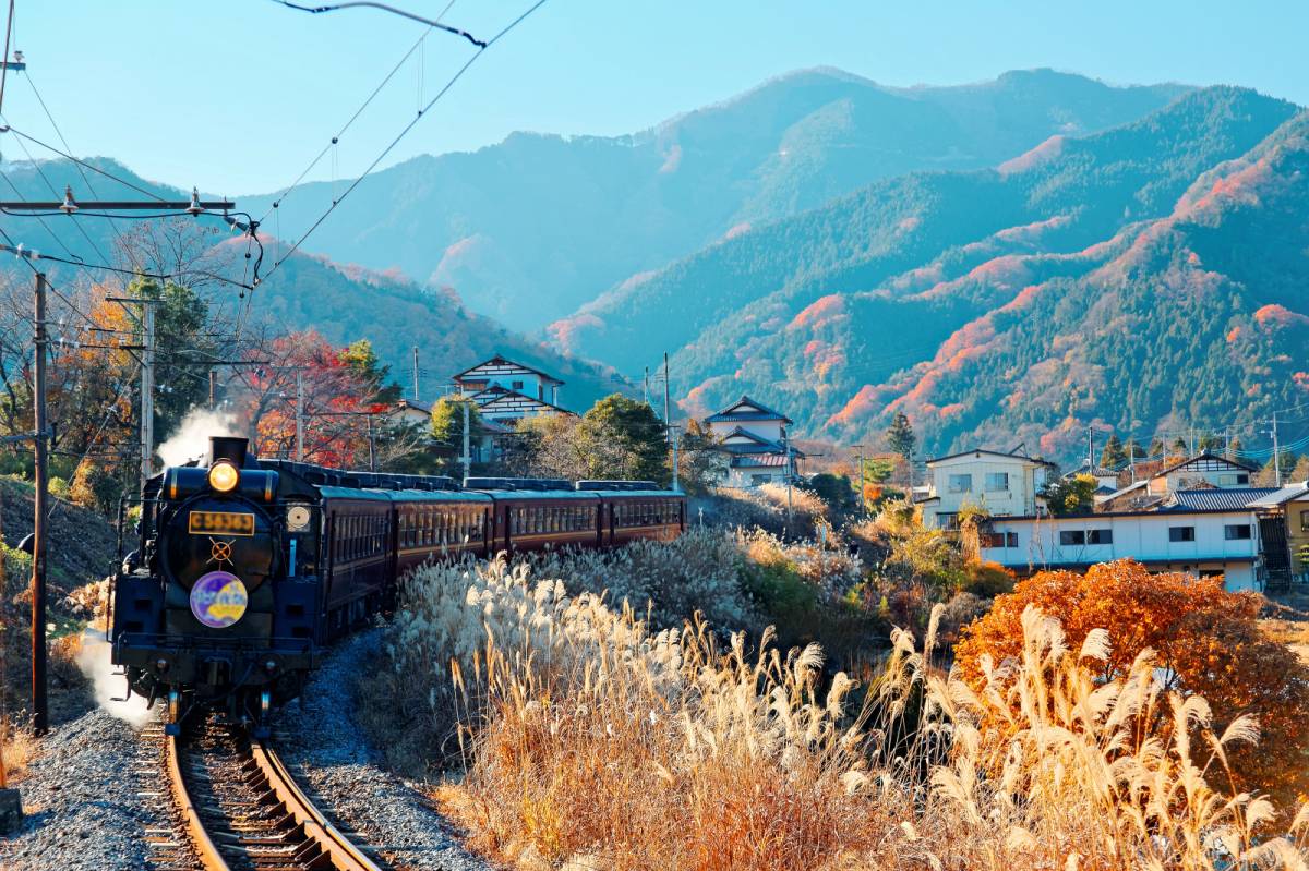 埼玉県の景色