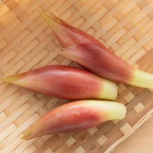 ぶっちゃけ週5でコレ。暑い日にもってこいの「みょうが」の簡単レシピ