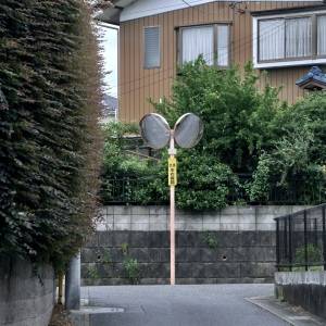  住宅街のT字路に設置された、左右を映す2枚のカーブミラー 