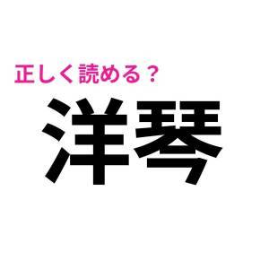  洋琴 