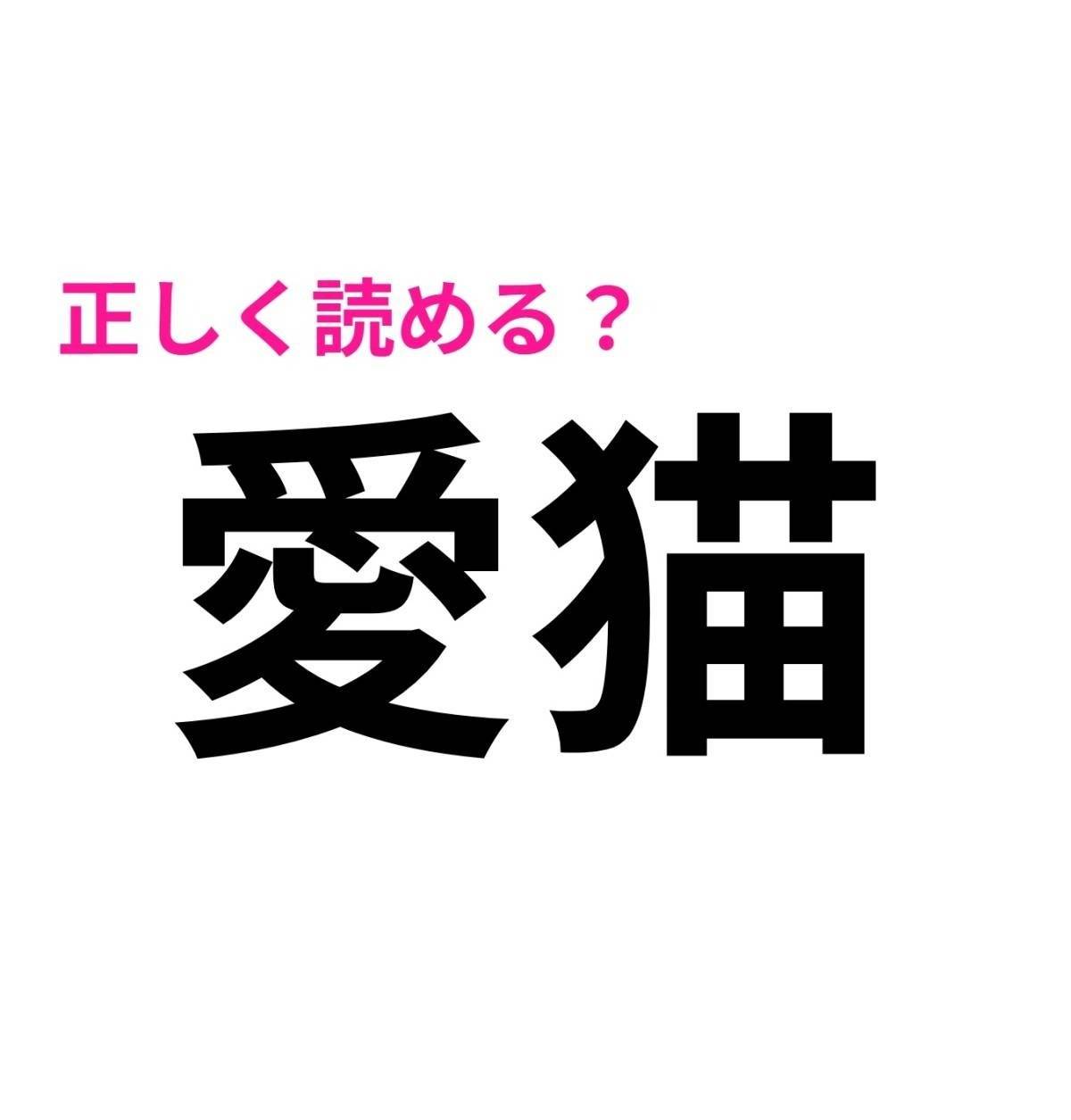 愛猫