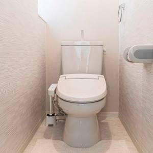 実は風水的に危険です。トイレにあると晩年運がどんどん下がるもの5選