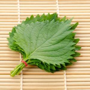 わが家でどハマりしてるやつ。5分あればできる「大葉」の簡単レシピ