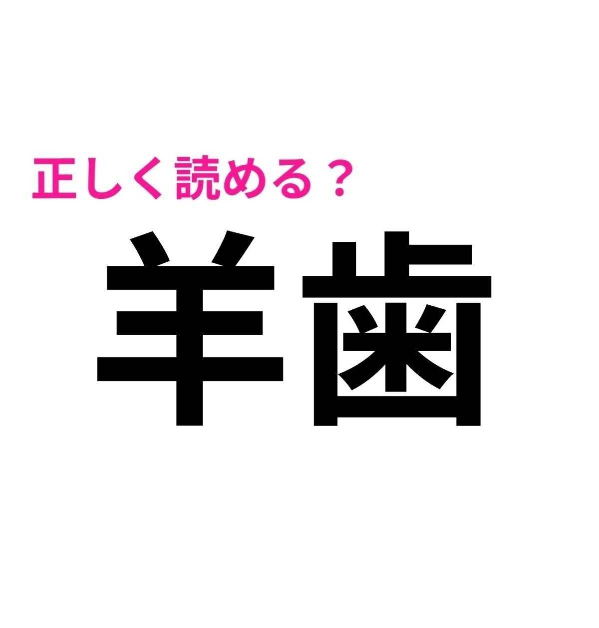 羊歯