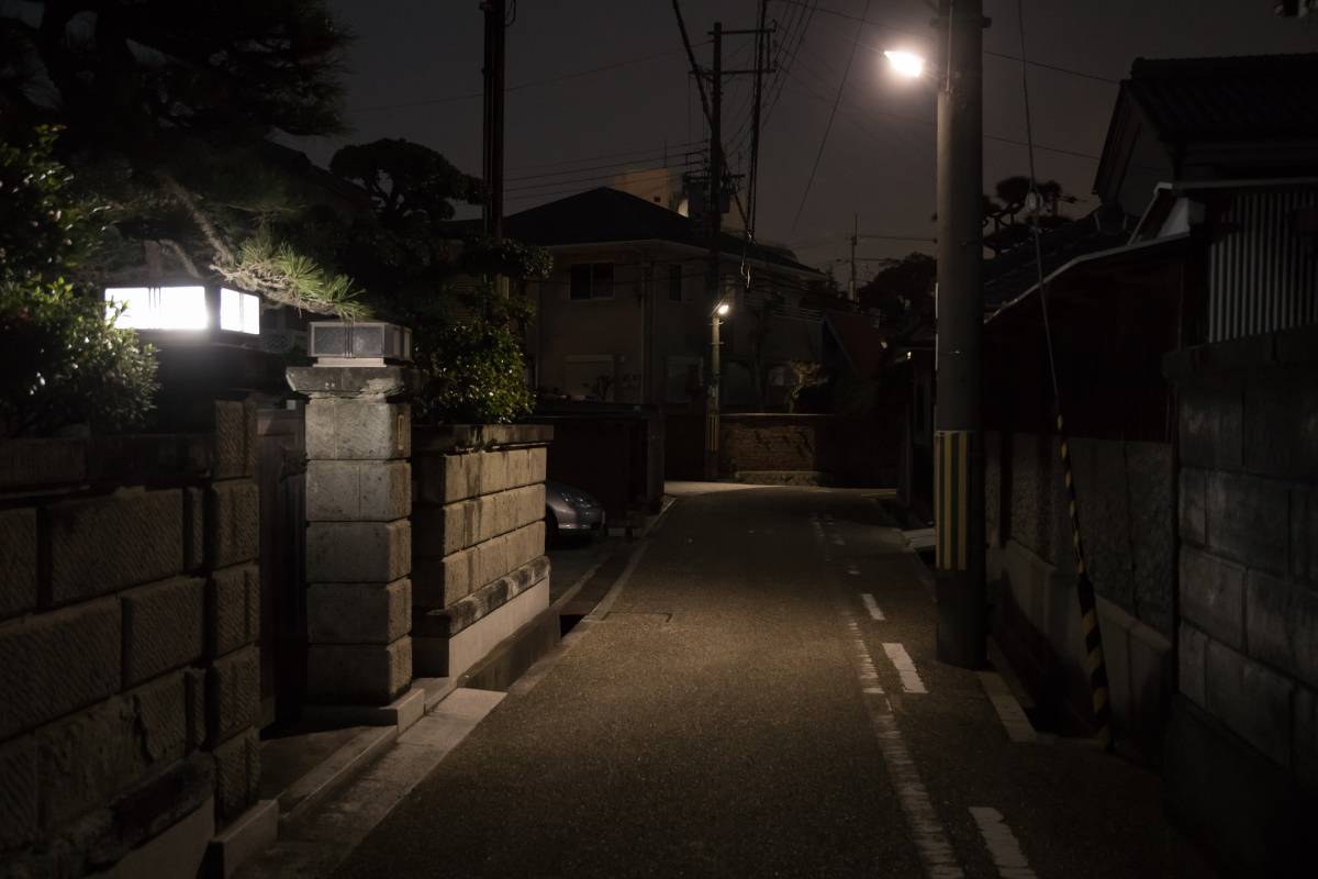 街灯に照らされた、夜の静かな住宅街