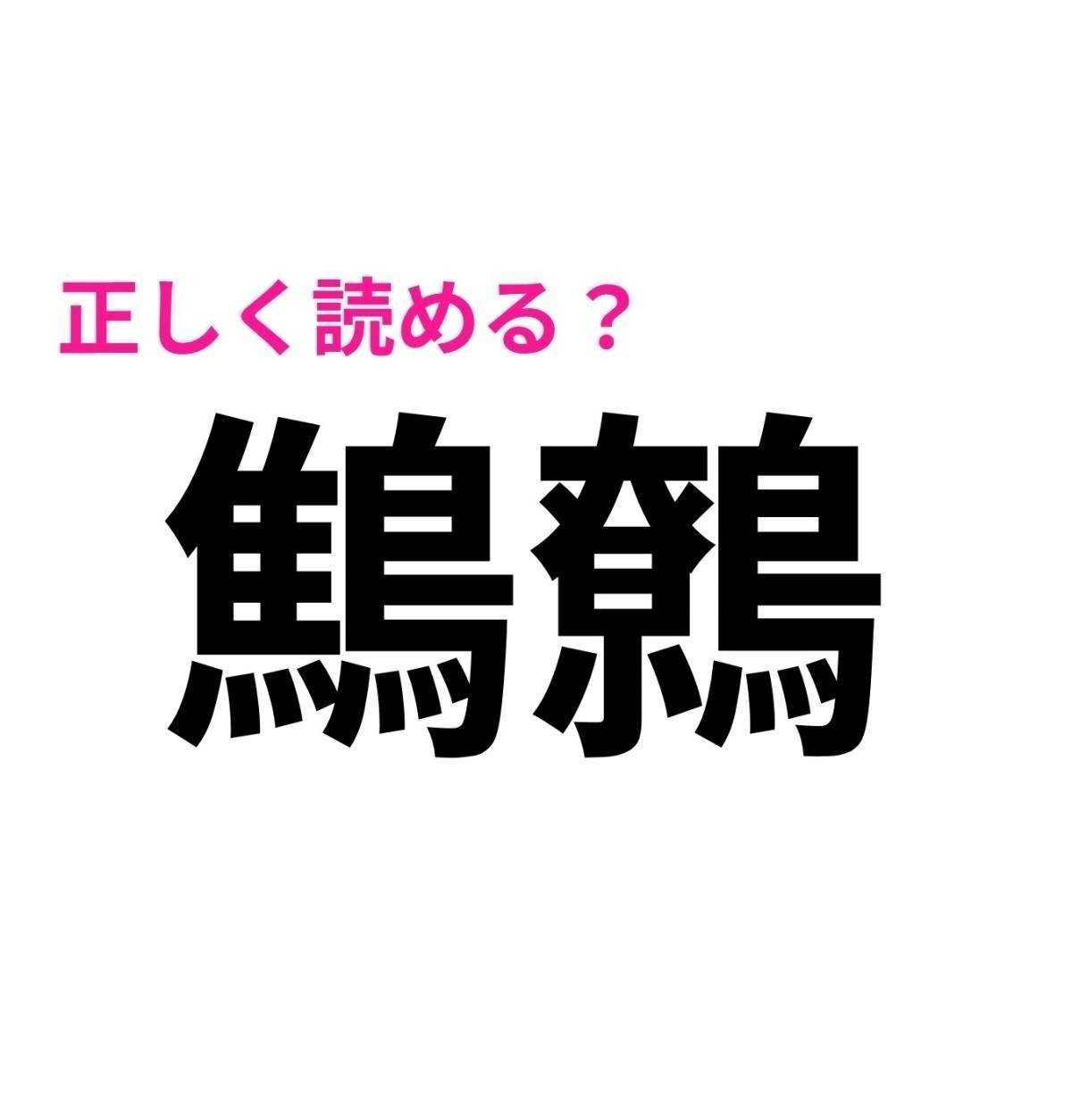 鷦鷯