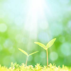 超大吉日【8月26日(水)】がやってくる！ただし注意すべき時間帯あり