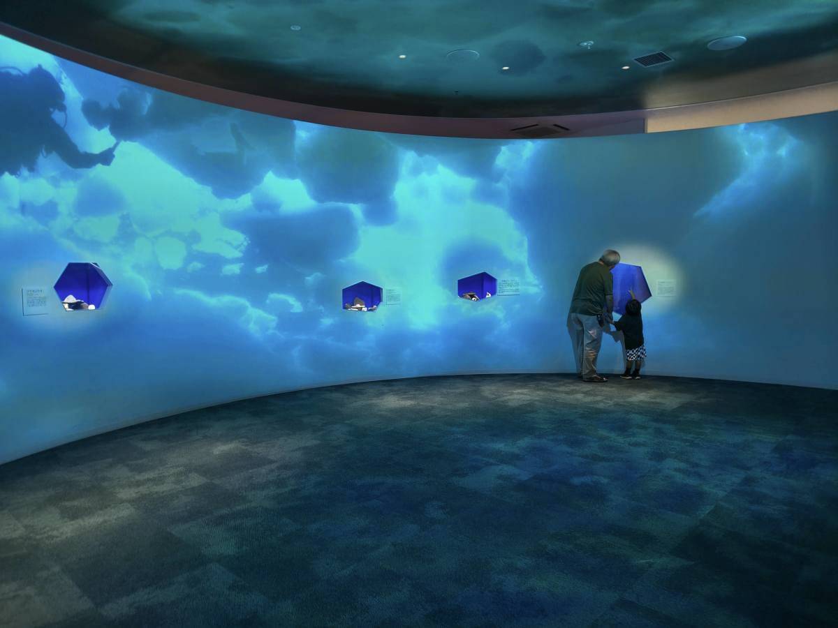 流氷をイメージした幻想的な展示