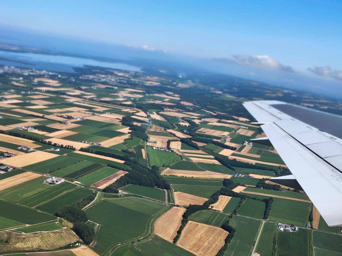 飛行機の窓から見えるパッチワーク畑