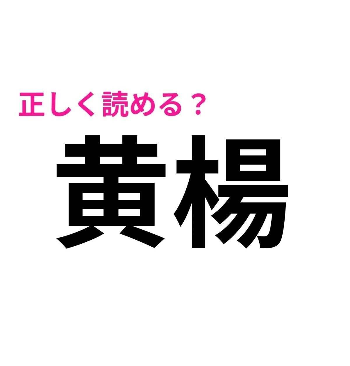 黄楊