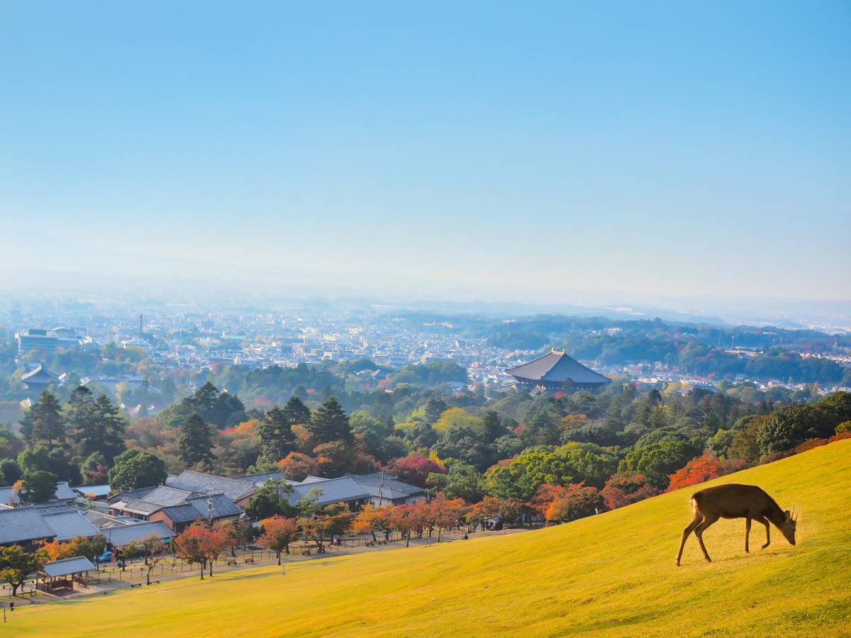 奈良県の景色