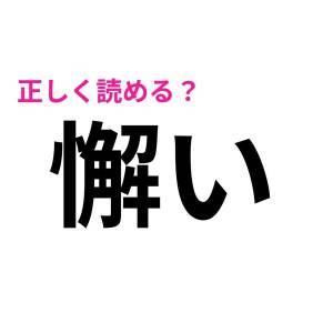  懈い 