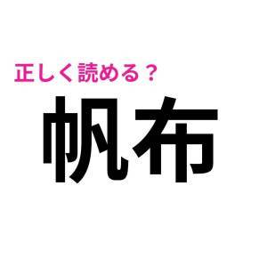  帆布 