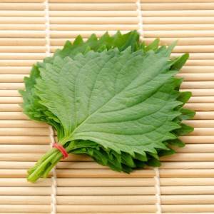 控えめに言ってウマすぎる……。5分でできる「大葉」の超簡単レシピ
