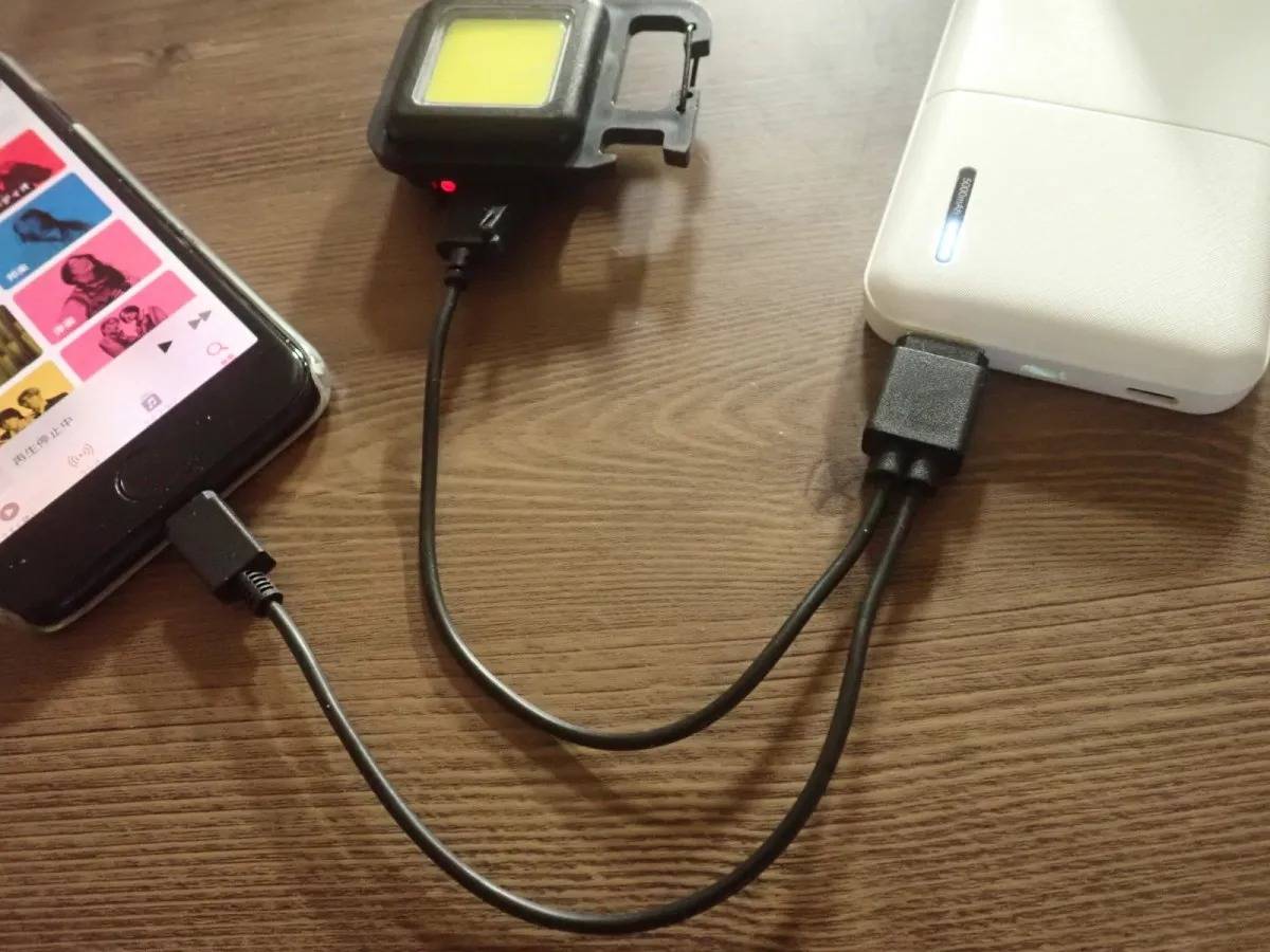 DAISO(ダイソー):充電ケーブル(USB→ライトニング端子&Type-C、2.1)